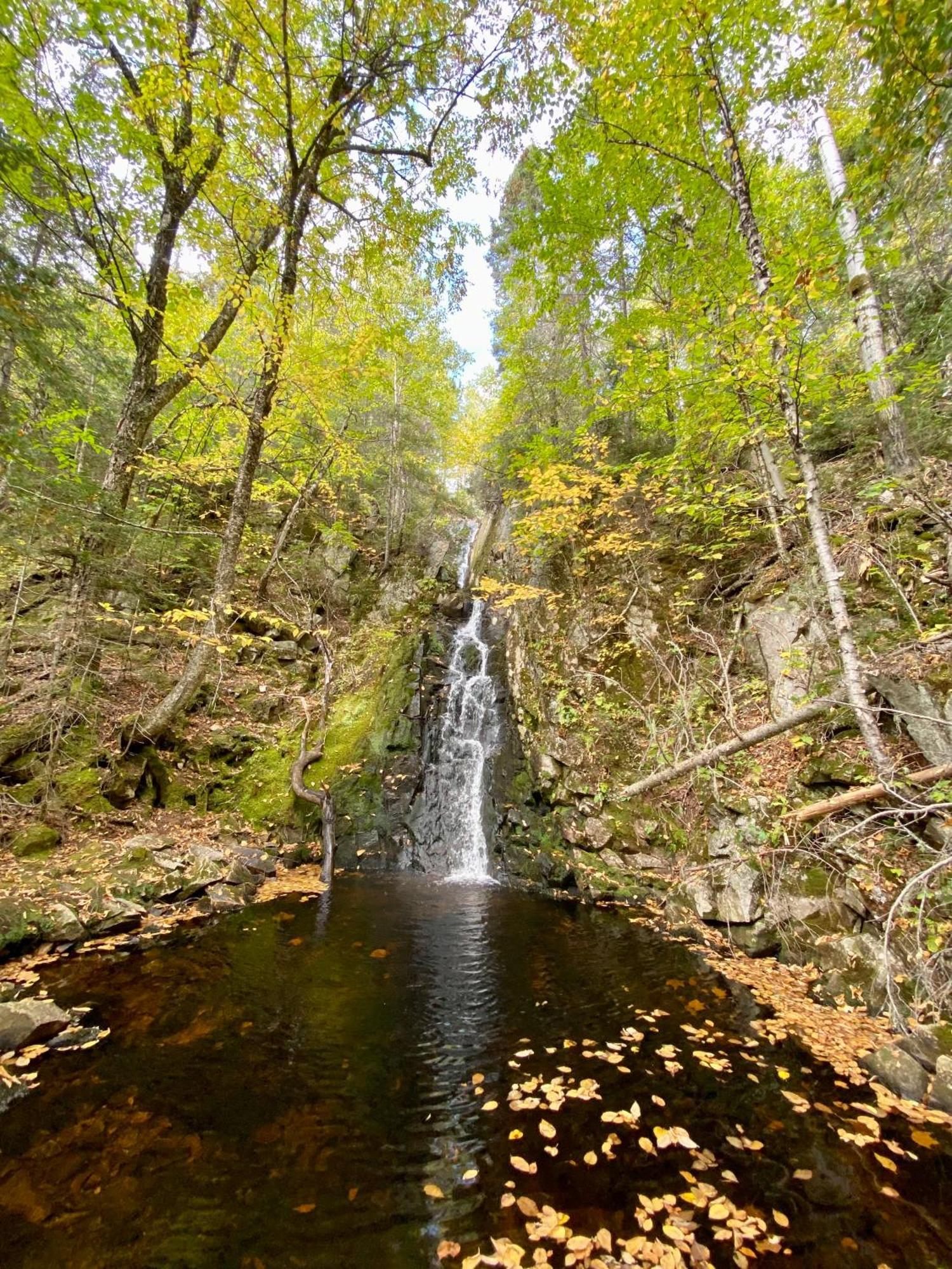 Belle Maison Avec Vue Sur La Riviere L'Anse-Saint-Jean Bagian luar foto