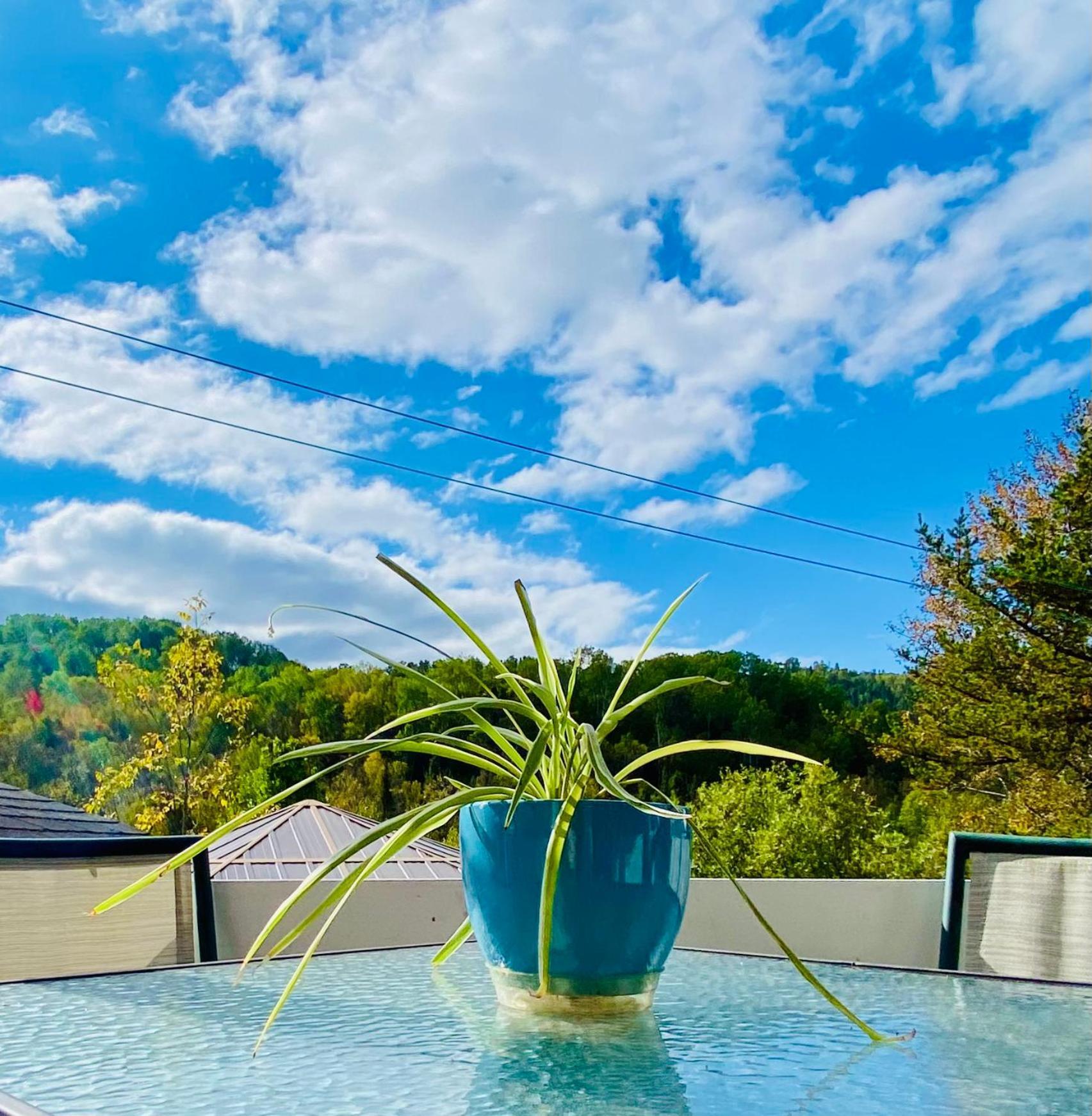 Belle Maison Avec Vue Sur La Riviere L'Anse-Saint-Jean Bagian luar foto
